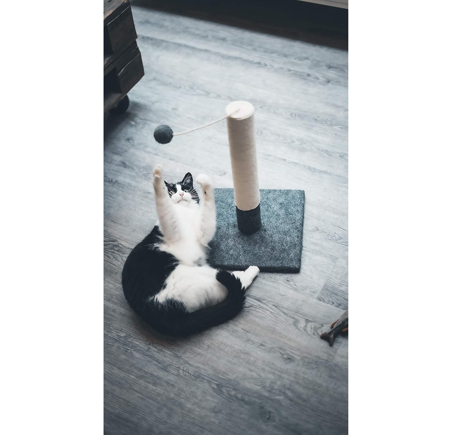 Rascador alto Tyrol para gatos persas con pompón de peluche