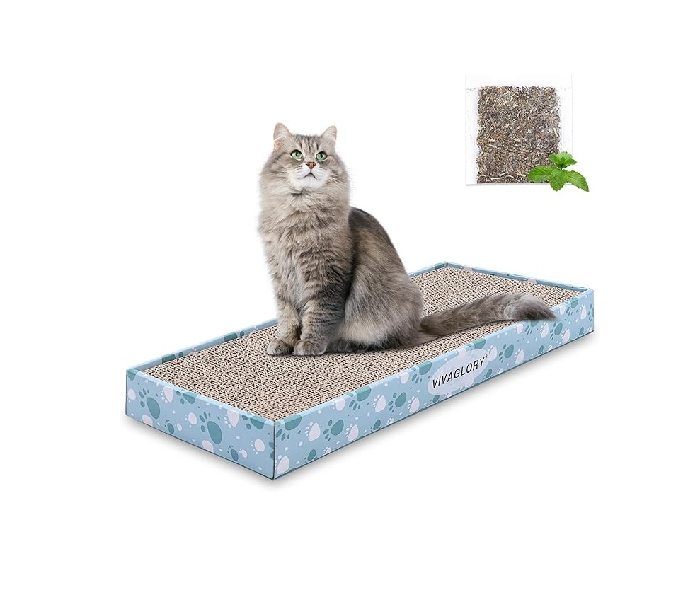 Rascador de cartón VIVAGLORY con caja y hierba gatera para gatos de interior